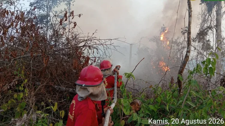 Kemendikdasmen Siapkan Protokol Pembelajaran Darurat Karhutla di Kalimantan