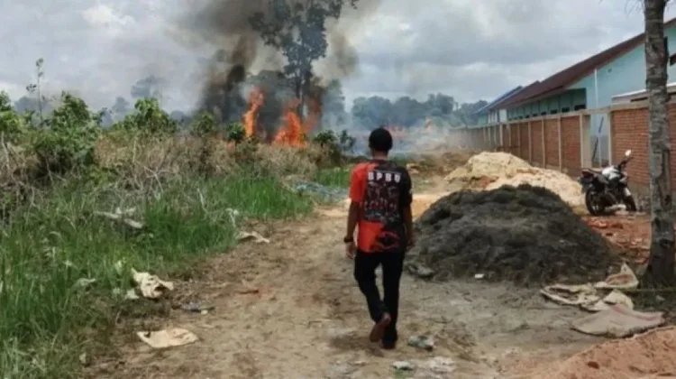 Delapan Daerah di Kalsel Siaga Darurat Karhutla, Tercatat 1.651 Titik