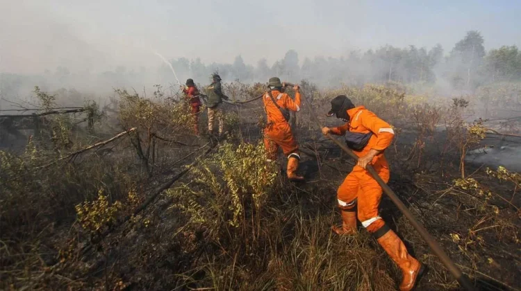BPBD Kalsel: Delapan kabupaten/kota Siaga Darurat Karhutla hingga Oktober