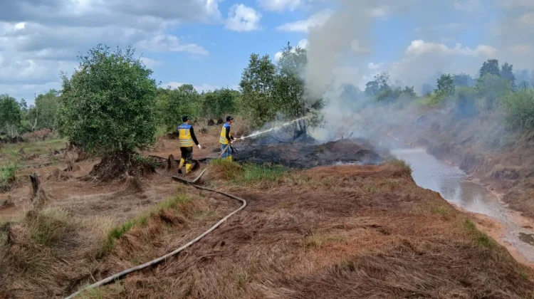 Tiga Hektare Lahan Terdampak Karhutla di Banjar, PU Turut Dukung Penanganan