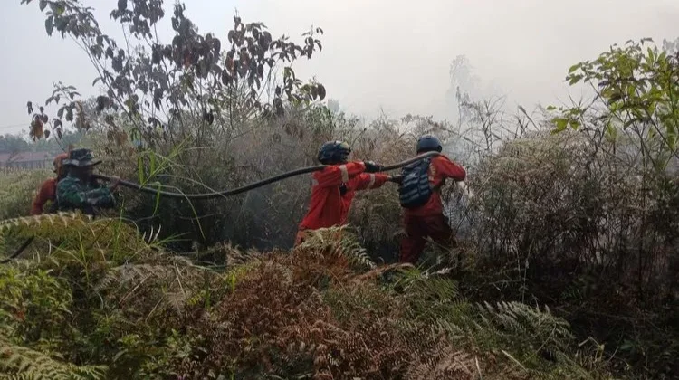 Asap Karhutla Ganggu Aktivitas Nelayan Tradisional di Kalimantan Utara