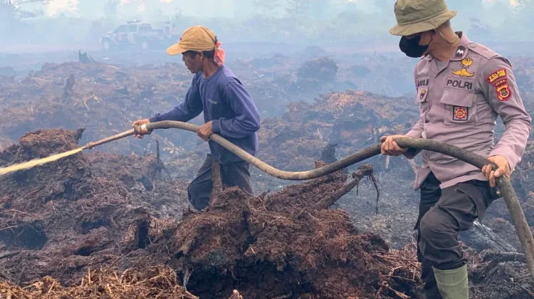 Mengapa Lahan Gambut di Kalimantan Mudah Terbakar? Ini Penjelasannya