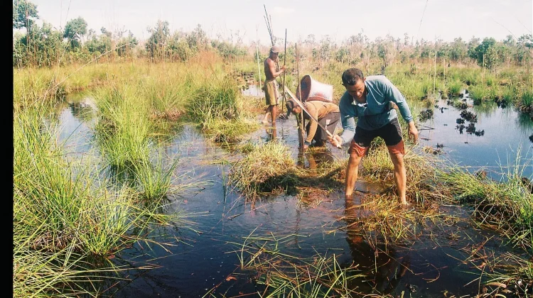 Pahami Sederet Cara Menjaga Lahan Gambut Agar Tak Mudah Terbakar