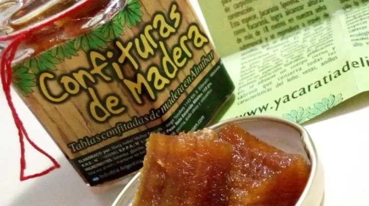 Kayu yang Bisa Dimakan, Mengenal Yacaratiá dari Argentina