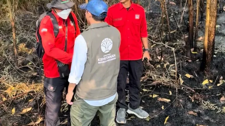 Hotspot Kalimantan Selatan Kembali Naik, Satu Helikopter dari Riau Dikerahkan