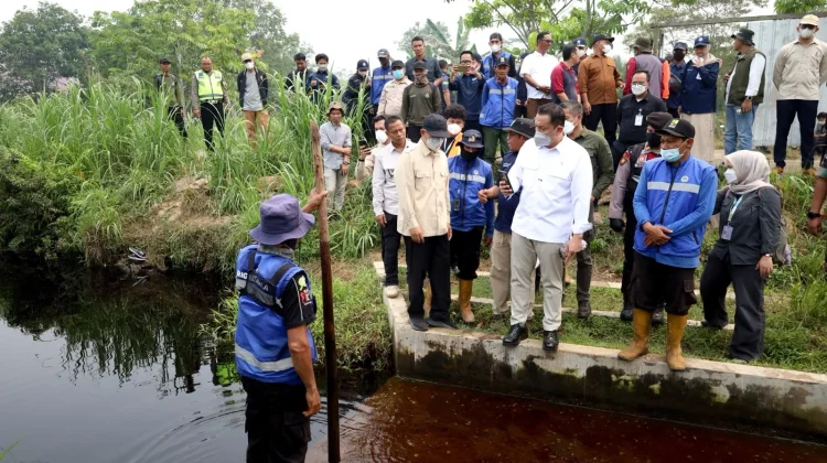 KLH Minta Swasta Bangun Sekat Kanal Atasi Karhutla Gambut Kalimantan Barat