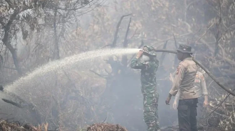 Karhutla Riau Menurun, Penanganan di Kerumutan Diperkuat Lewat Udara
