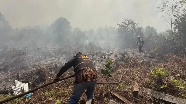 BPBD Kotawaringin Timur Pastikan Jarak Pandang Aman meski Terjadi Karhutla