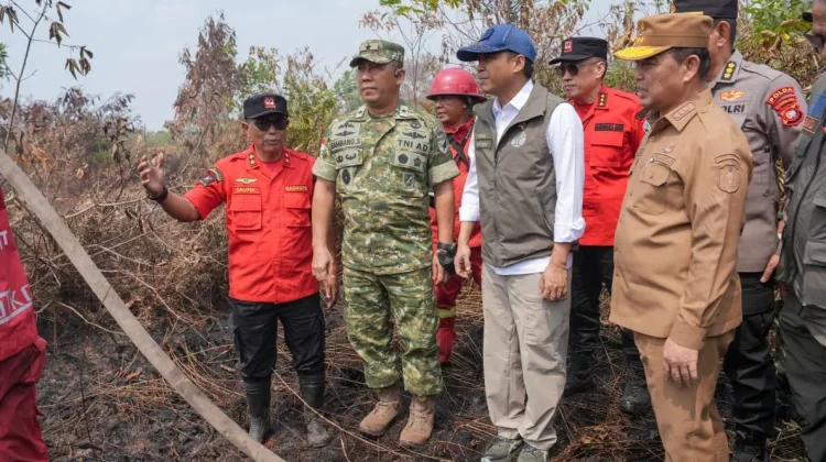 El Nino Sangat Kuat, Menhut Imbau Masyarakat Tak Bakar Lahan untuk Land Clearing