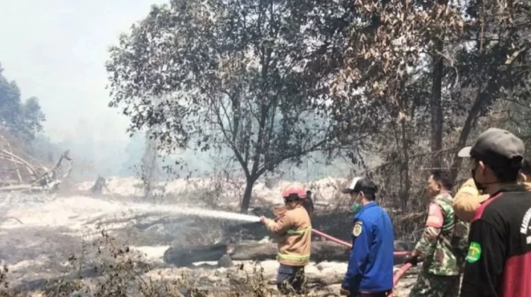 BMKG Catat 64 Titik Panas di Sumut, Warga Diimbau Tak Bakar Lahan