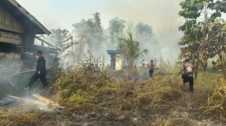 Papua Tengah Tingkatkan Kewaspadaan Karhutla di Kawasan Hutan Lindung