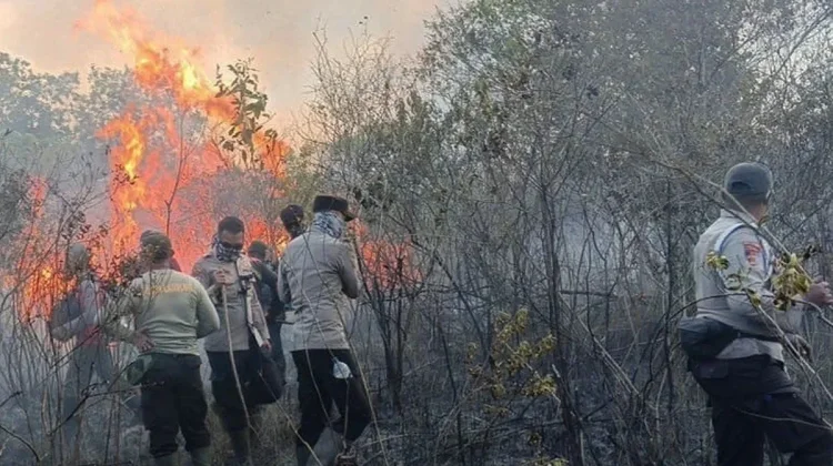 BNPB: Kebakaran Lahan di Bukit Sitalmak Talmak Samosir Berhasil Dipadamkan
