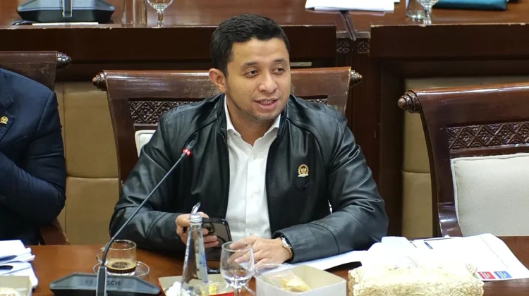 OJK Diminta Perketat Pembiayaan Perusahaan Konsesi Rawan Karhutla
