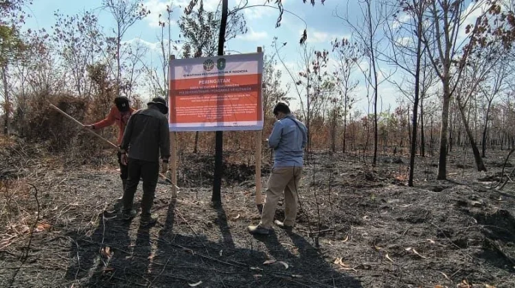 Kemenhut Sanksi 6 Perusahaan, Karhutla Capai 1.511 Hektare
