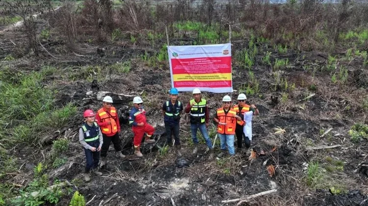 Luas Karhutla Indonesia Capai 202 Ribu Hektare hingga Juli 2026