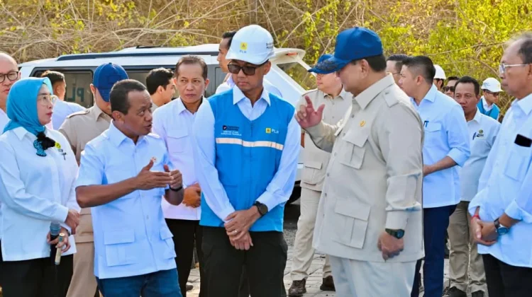 PLTS 100 GWp Ditargetkan Rampung Tiga Tahun, Presiden Minta Tim Bekerja Cepat