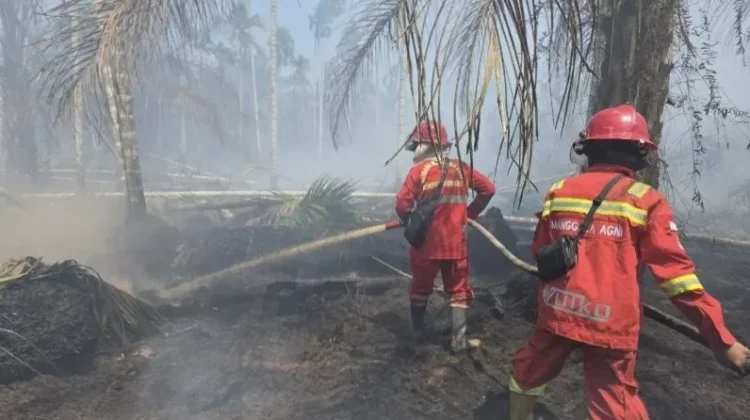 Polda Jambi Turunkan Ratusan Personel Bantu Tangani Karhutla
