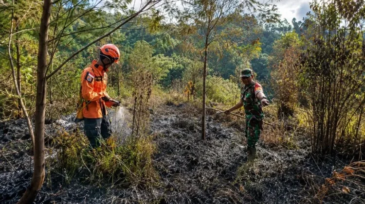 BPBD Lumajang Waspadai Titik Api Baru di Ranupani