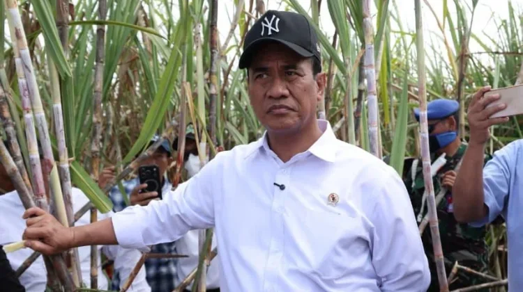 Mentan Amran Percepat Peremajaan dan Perluasan Tebu untuk Kejar Swasembada Gula