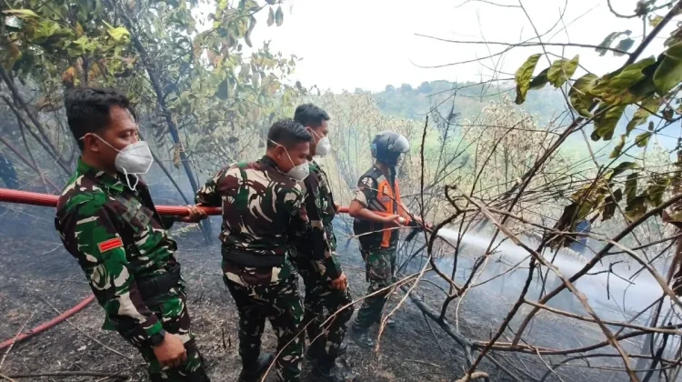 TNI AU Kerahkan 50 Personel Padamkan Karhutla di Balikpapan