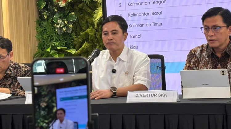 Kemenkes Catat 25 Daerah Alami Kualitas Udara Tidak Sehat