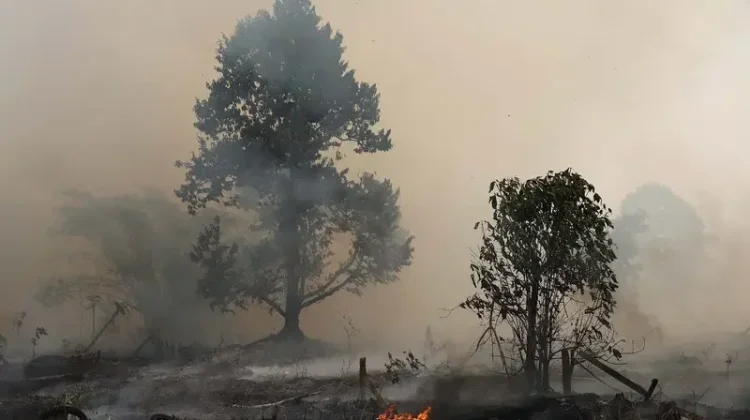 Kasus Pneumonia di Pontianak Naik 20 Persen imbas Kabut Asap Karhutla
