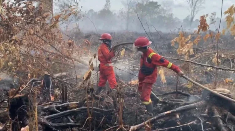 Kemenkes: 5,5 Juta Warga di Sumatra-Kalimantan Terdampak Kesehatan akibat Karhutla