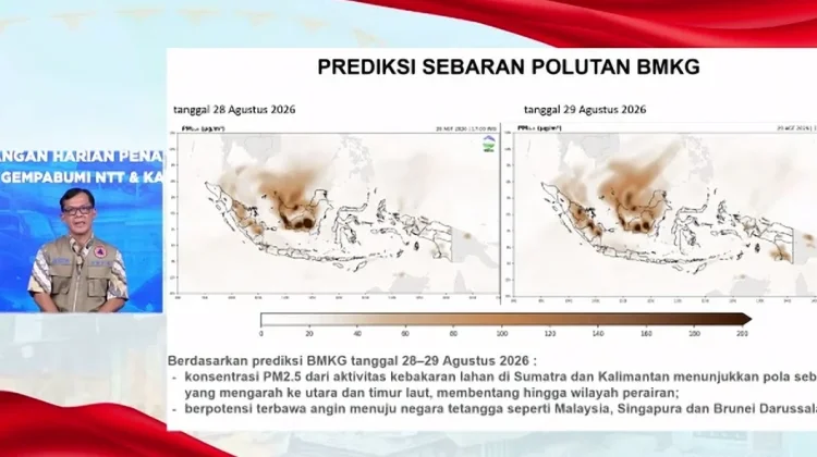 BNPB: Prediksi Sebaran Polutan Karhutla Terlihat Semakin Jelas