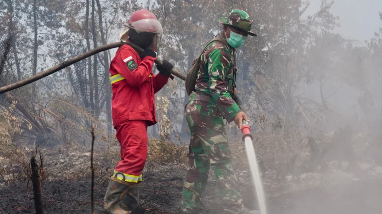 Kemenhut Pantau Kualitas Udara di Wilayah Karhutla
