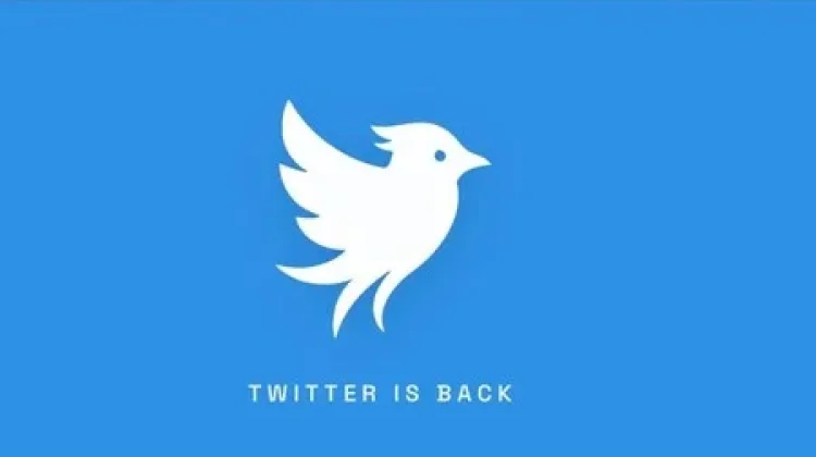 Media Sosial Twitter.now Kembali Aktif, Pengguna Bisa Daftar untuk Uji Coba