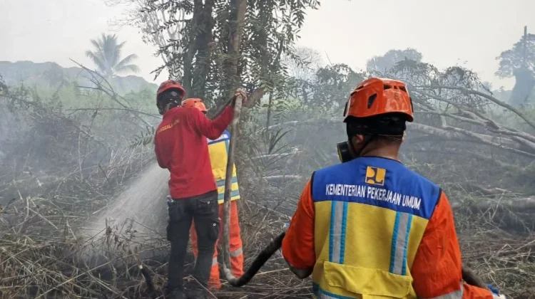 Pemerintah Padamkan Karhutla 100 Hektare di Sumatra dan Kalimantan