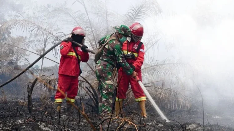 Satwa Liar Kehilangan Habitat hingga Masuk Pemukiman Warga Akibat Karhutla
