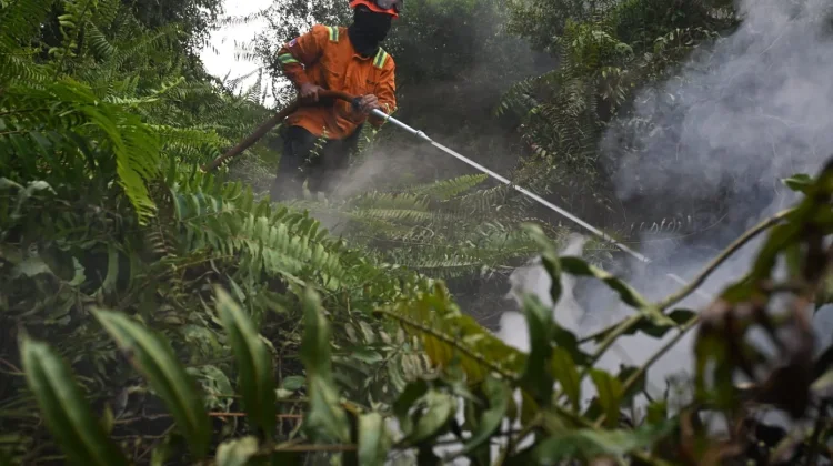 Perum Bulog Siap Kirim Bantuan Beras bagi Warga Terdampak Karhutla di Lapangan