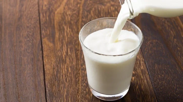 Benarkah Susu Wajib Ada dalam Menu Bergizi? Ini Penjelasannya