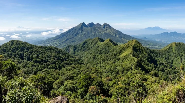 ESDM Pastikan Pengembangan PLTP Gunung Ungaran Dilakukan Bertahap
