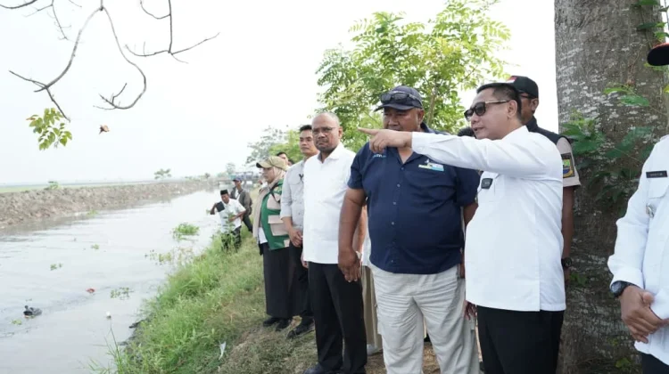 Pemkab Bekasi Targetkan 800 Hektar Sawah Kekeringan di Pebayuran Terairi