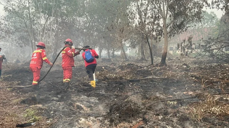 Dua Bulan Nonstop, Manggala Agni Berjibaku Padamkan Karhutla Kalbar