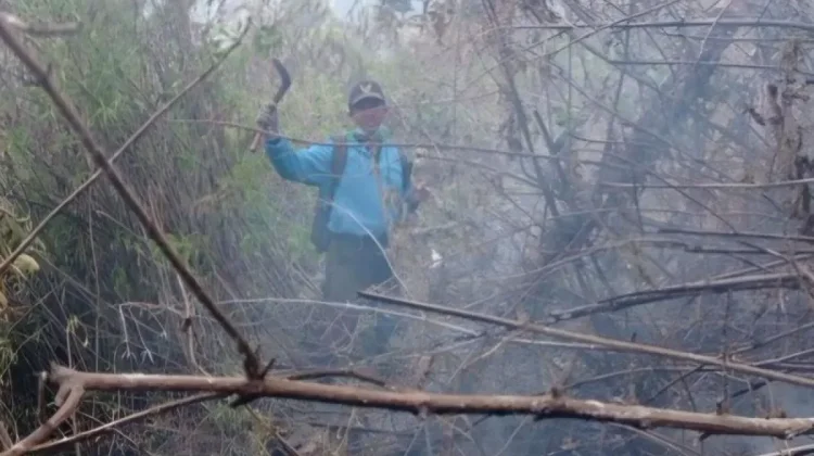 Karhutla Meluas di Lima Pegunungan Jatim, BNPB Tutup Aktivitas Pendakian