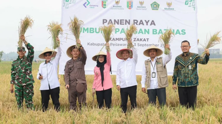 Panen Raya Lumbung Pangan BAZNAS di Pesawaran, Petani Tunaikan Zakat Pertanian