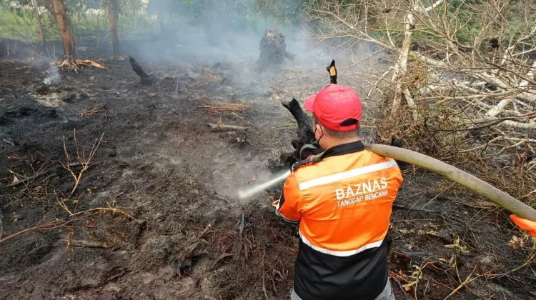 BAZNAS Terjunkan Tim Tanggap Bencana Bantu Tangani Karhutla di Kalbar dan Kalsel