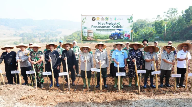 Kemenko Pangan Uji Model Kedelai Cariu