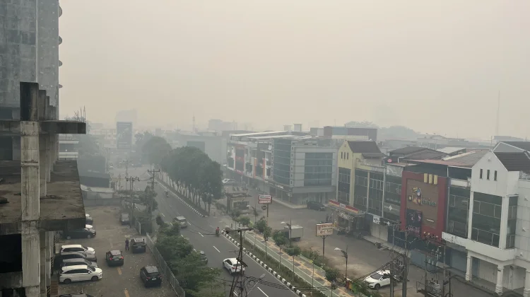 Sempat Turun Hujan di Kalbar, Kemenhut Tetap Perkuat Pengendalian Karhutla