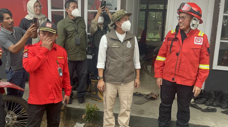 Tangani Dampak Karhutla, Kemenhut Perkuat Call Center Penyelamatan Satwa