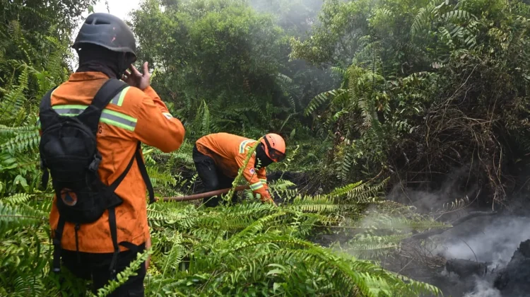 BRIN Ungkap Perkembangan Inovasi Tepung Singkong untuk Memadamkan Karhutla