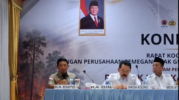 BNPB Padamkan 71.274 Hektare Lahan Gambut di Enam Provinsi