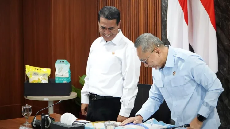 Menteri Pertanian Pastikan Stok Aman dengan Tambah Alokasi Beras SPHP