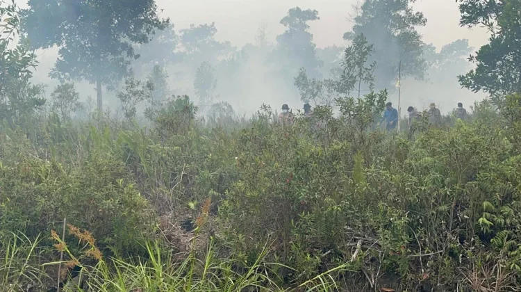 Hotspot Nasional Turun 288 Titik, Kalteng-Kalbar Menurun Signifikan