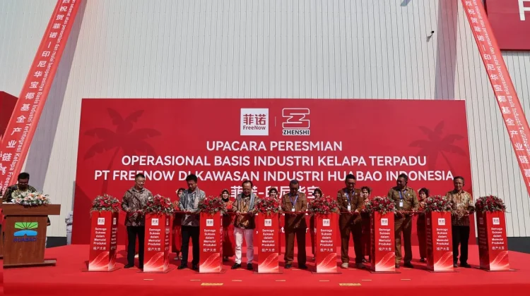 Investasi Rp776 Miliar, Hilirisasi Kelapa di Morowali Siap Serap 2.900 Tenaga Kerja