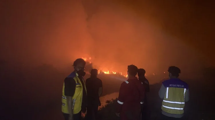 Kementerian PU Optimalkan Saluran Tersier untuk Padamkan Karhutla di Kapuas
