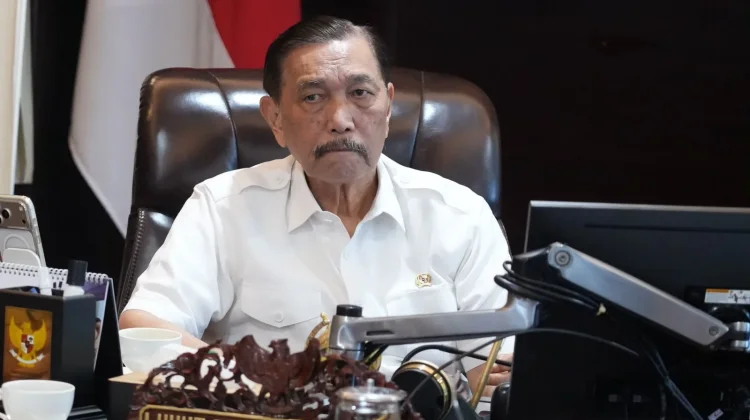 Kejar 48 Juta KK, Luhut Perluas Jaringan Agen Perlinsos